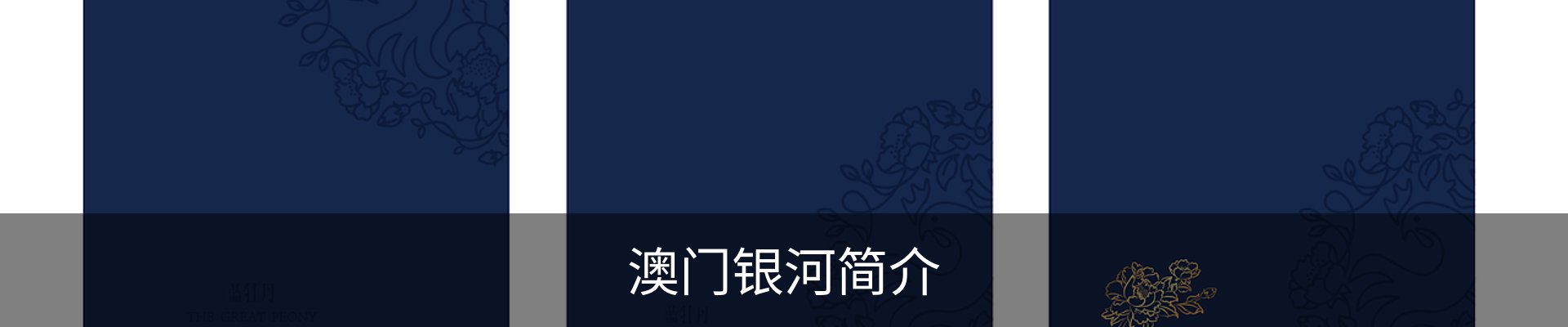 内页banner